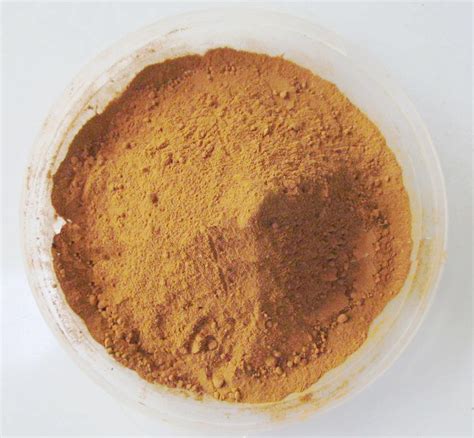 Agaricus Blazei Extract Powder Tcm Adaptogen Warehouse Pine Pollen