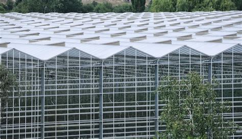 Premium Photo | A large greenhouse with a white roof and a green roof.