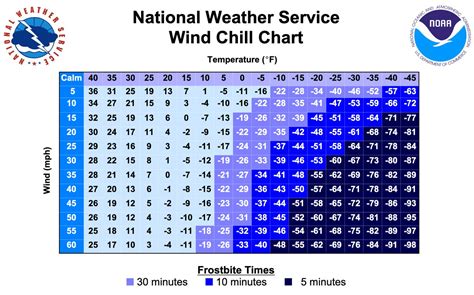 Michigan Wind Chill Can Cause Frostbite Heres What To Know