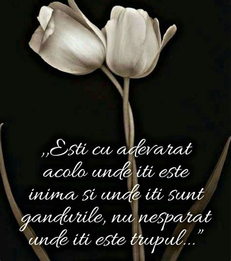 Two White Tulips On A Black Background With The Words Sisti Cu Adparat