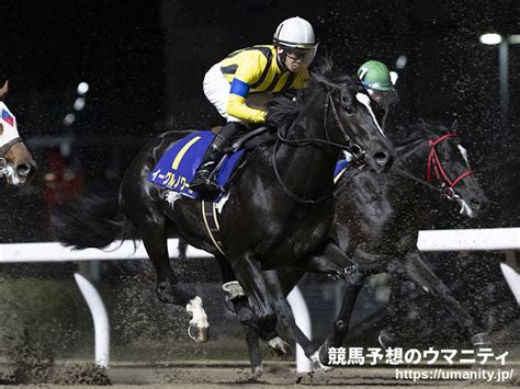 テレ玉杯オーバルスプリント2024特集 レース結果・払戻｜地方競馬予想のウマニティ