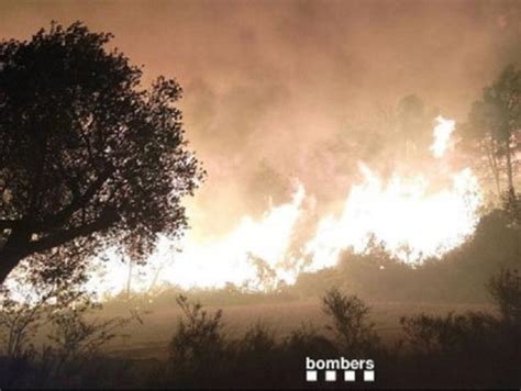 Estabilitzat Lincendi Forestal Jordi Alemany Batea Societat El