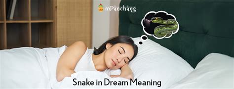 Snake in Dream Meaning Hindu Astrology