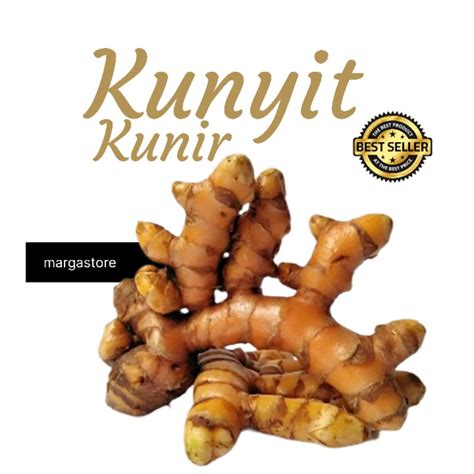 Jual Kunyit Kunyit Segar 1kg Kunyit Kunir 1000gr Indonesia Shopee