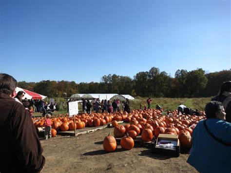 Terhune Orchards 330 Cold Soil Road Princeton Junction New Jersey