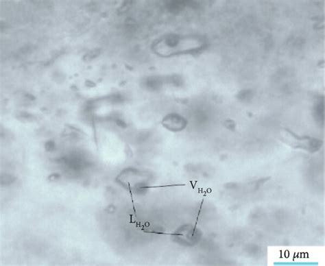 Photomicrographs Of Representative Fluid Inclusions In Quartz Crystals