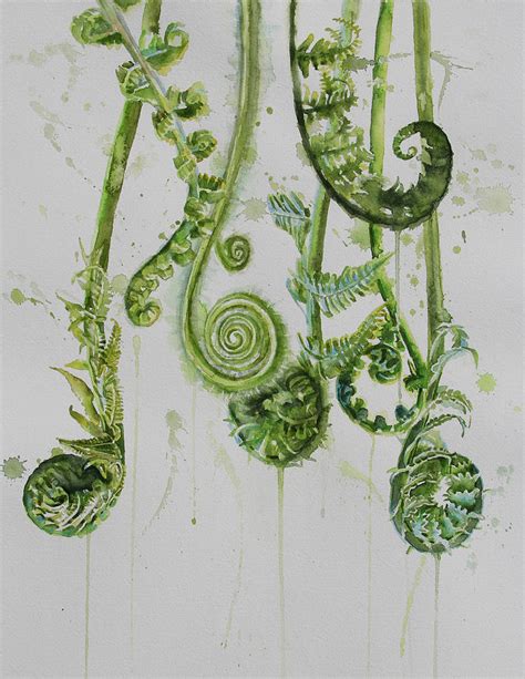 Fiddleheads Unfurling 1 Painting By Tracy Male Fine Art America