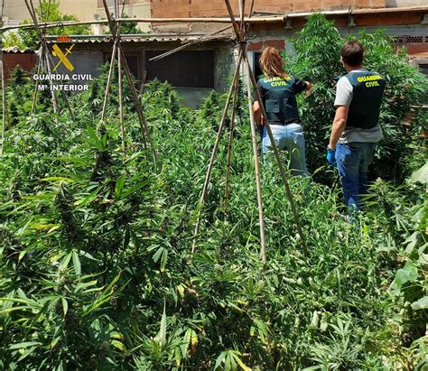 La Guardia Civil Incauta Cinco Armas De Fuego Y Desmantela Una