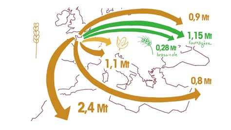 LES CÉRÉALES EN CHIFFRES La filière céréalière en Normandie Les