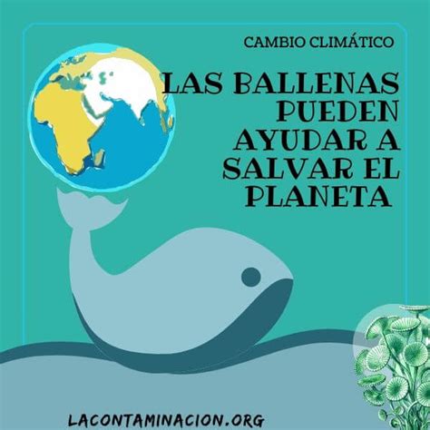 Las ballenas ayudan a mitigar el cambio climático Lacontaminacion org