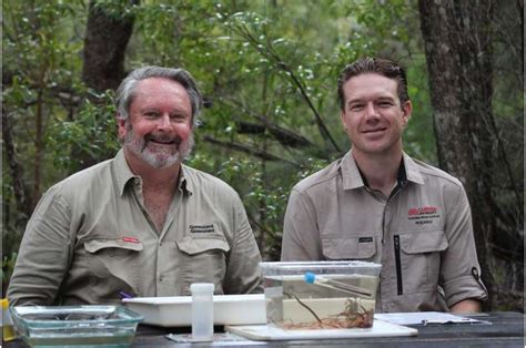 Scientists Find Ancient Endangered Lamprey Fish In Queensland Km