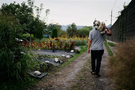 Blumen Kopf Slowflower Bewegung