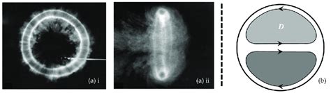 Examples Of Vortical Structures A Vortex Ring Front I And Side