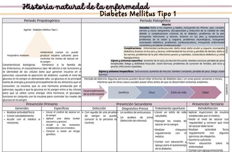 Historia Natural De La Enfermedad Diabetes Mellitus Tipo 1 Ranita