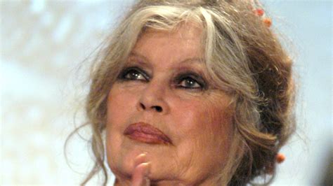 Alain Delon Ans Brigitte Bardot Annonce La Mauvaise Nouvelle