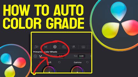 How To Auto Color Grade In Davinci Resolve Youtube