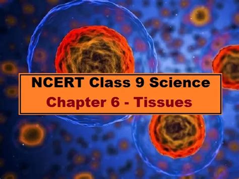 Tissues Class 9 Science Ncert Chapter 6 Download In Pdf