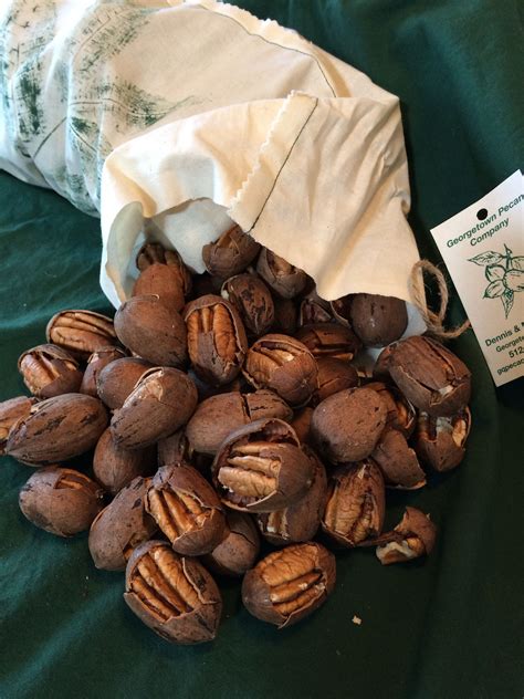 Market-locations | Texas | Georgetown Pecans