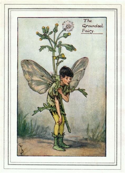 The Groundsel Fairy By Cmb Cicely Mary Barker Flower Fairies