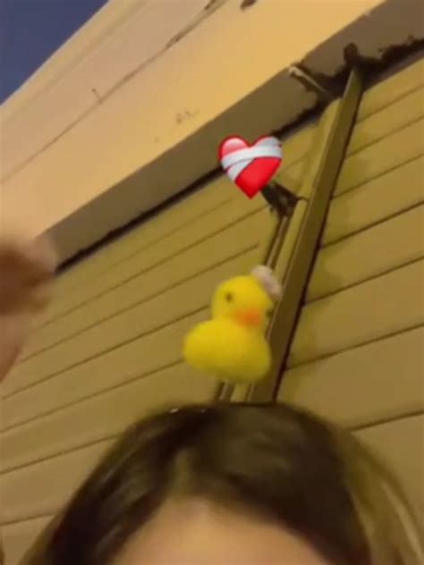 qué significa la tendencia de ponerse un pato de juguete en la cabeza infobae