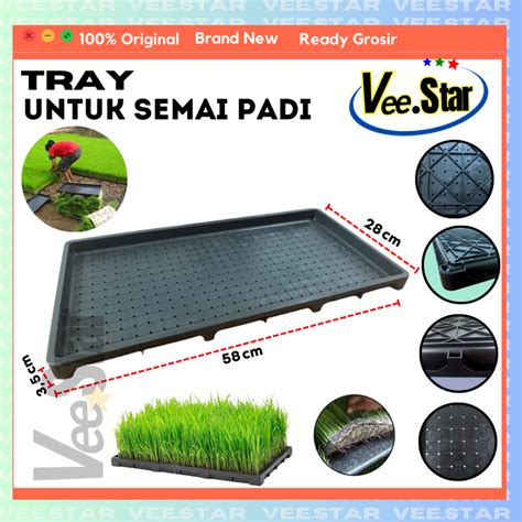 Jual Tray Semai Bibit Padi Rice Seedling Tray Shopee Indonesia