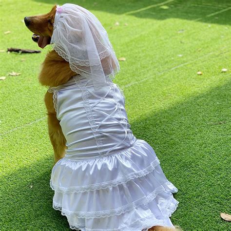 Dog Wedding Dress