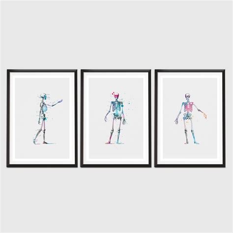 Skeleton Poster Anatomy Painting Human Anatomy Art Medical Etsy