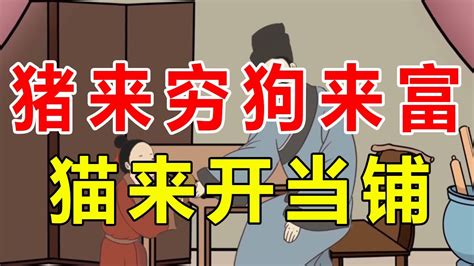 “猪来穷，狗来富，猫来开当铺”，养猫好还是养狗好？老话太在理【诸子国学】 Youtube