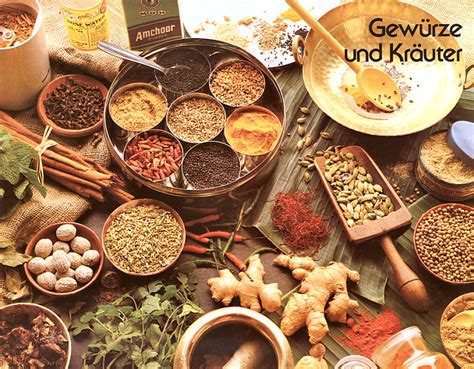 Vedische Kochkunst Kochen mit der indischen Gewürzküche