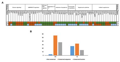 CIMB Free Full Text Investigation Of The Molecular Evolution Of