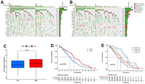 Construction And Validation Of Cuproptosis Related Lncrna Prediction