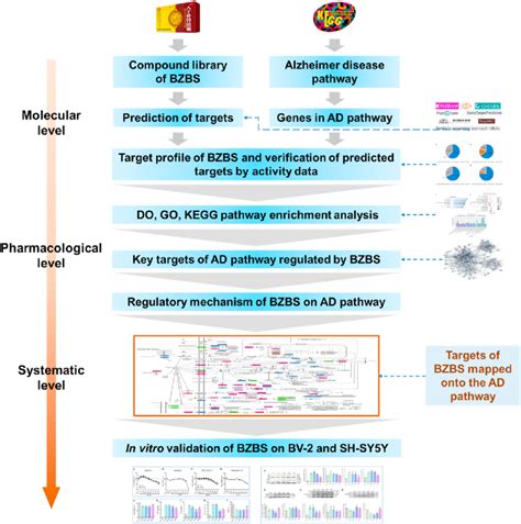 Schematic Diagram Describing The Concept Of Enrichment Based Drug