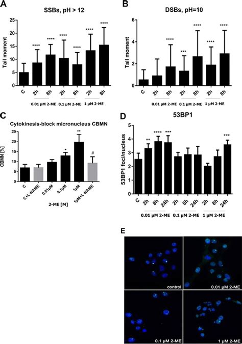 Me Induced Dna Damage In Ht Cells A B Formation Of Ssbs A And