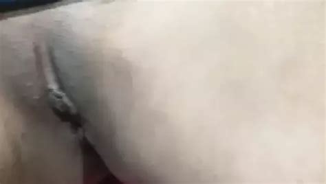 Pornstarplatinum Natural Tits Jazmin Grey Solo Pussy Play Xhamster