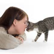 11 Cat Sounds and What They Mean - The Purrington Post