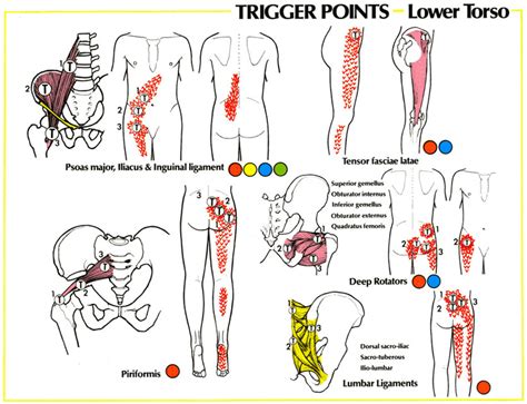 Santa Barbara Massage Trigger Point Referral Patterns Trigger Points Pinterest Therapy