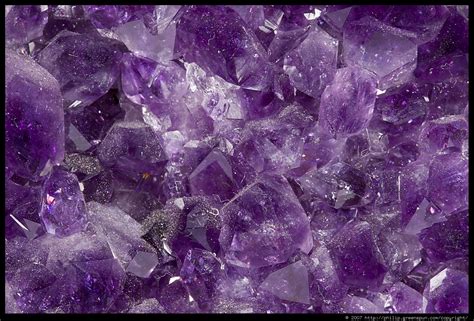 Musings From The Marsh The Amethyst