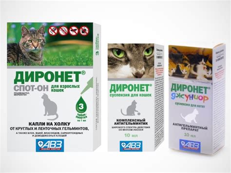 Обзор глистогонных средств для кошки: применение антигельминтных препаратов