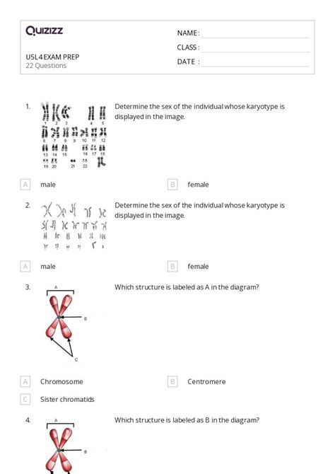 50 Chromosome Structure And Numbers Worksheets For 12th Grade On