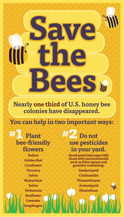 Save The Bees Poster