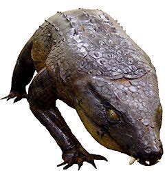 Armadillosuchus