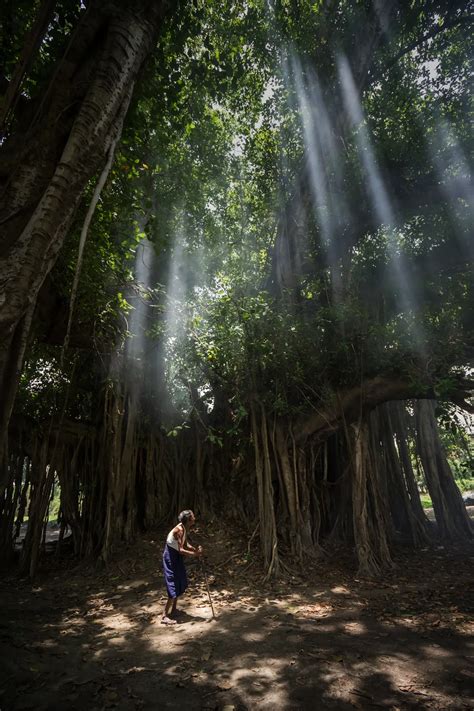 Human And Nature Smithsonian Photo Contest Smithsonian Magazine