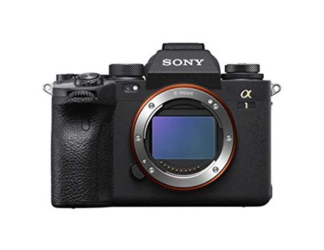 8 Best Sony Mirrorless Cameras In 2023 Compact Click