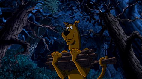 scooby doo scooby doo camp scare wiki fandom powered  wikia