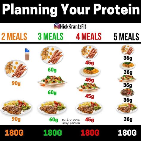 Protein Example Foods Protein Info