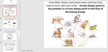 Living Environment Regents Review PPT Ecology TpT