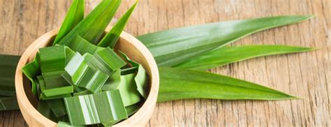 What Is Pandan Benefits And Foods Holland And Barrett