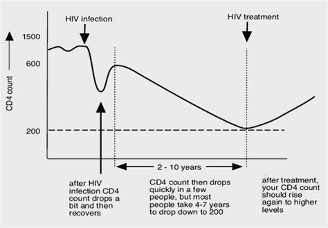 1 7 Cd4 Count As A Surrogate Marker Of Your Immune System Training Manual Hiv I Base