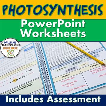 Photosynthesis Cellular Respiration Worksheet Powerpoint Assessment