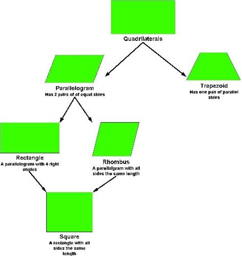 9 best quadrilaterals images on Pinterest | Interactive notebooks, Math ...